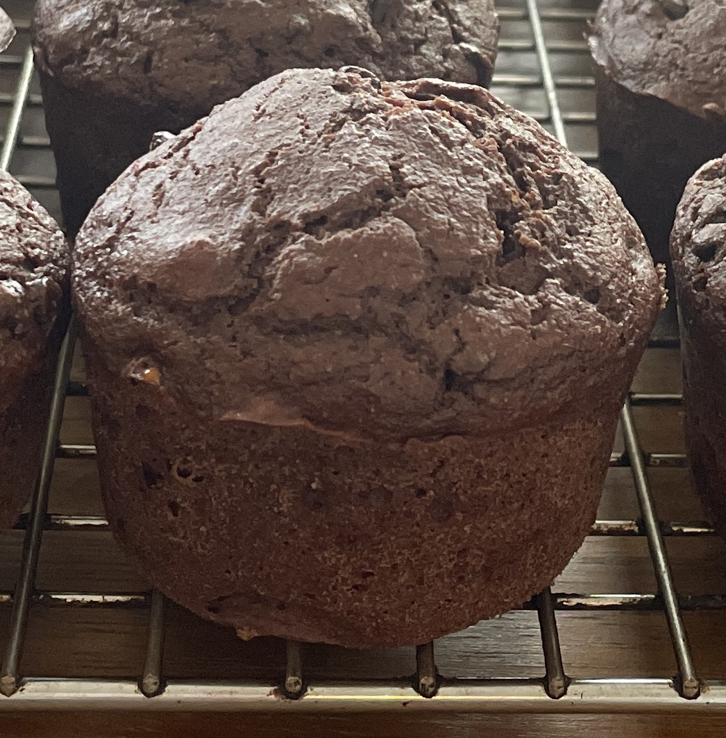 Chocolate Muffin